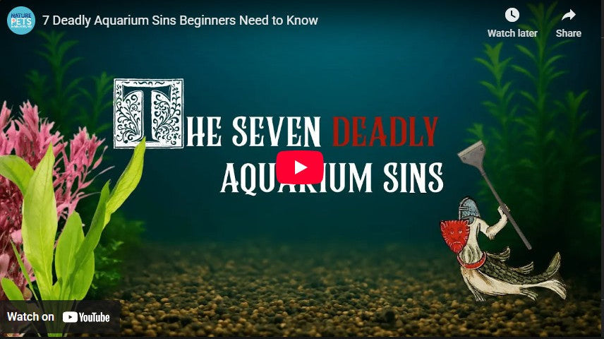 Avoid These Aquarium Mistakes | Seven Deadly Sins