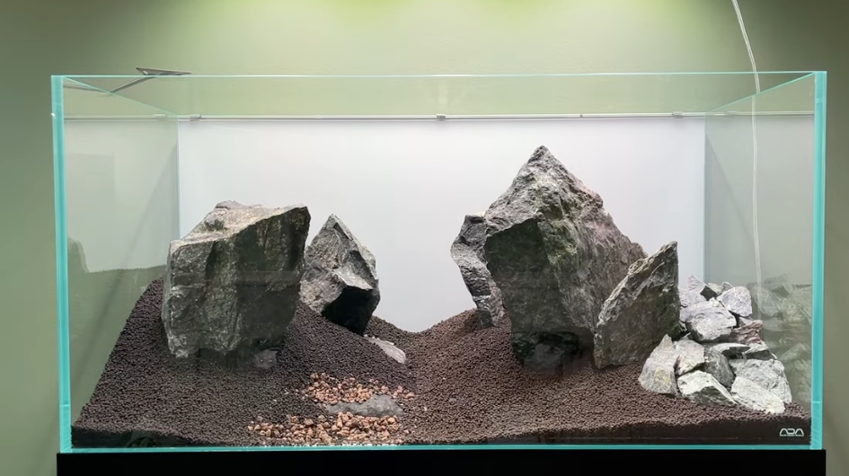 Iwagumi Aquascaping Guide | Step-by-Step with WIO Jade Stones