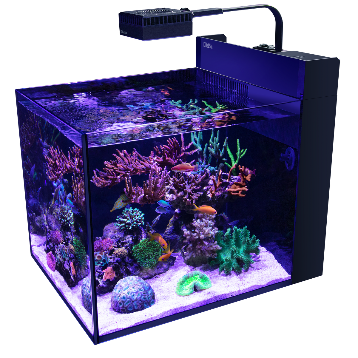 Red Sea Max Nano Complete Reef Aquarium Unit - Peninsula – Nature
