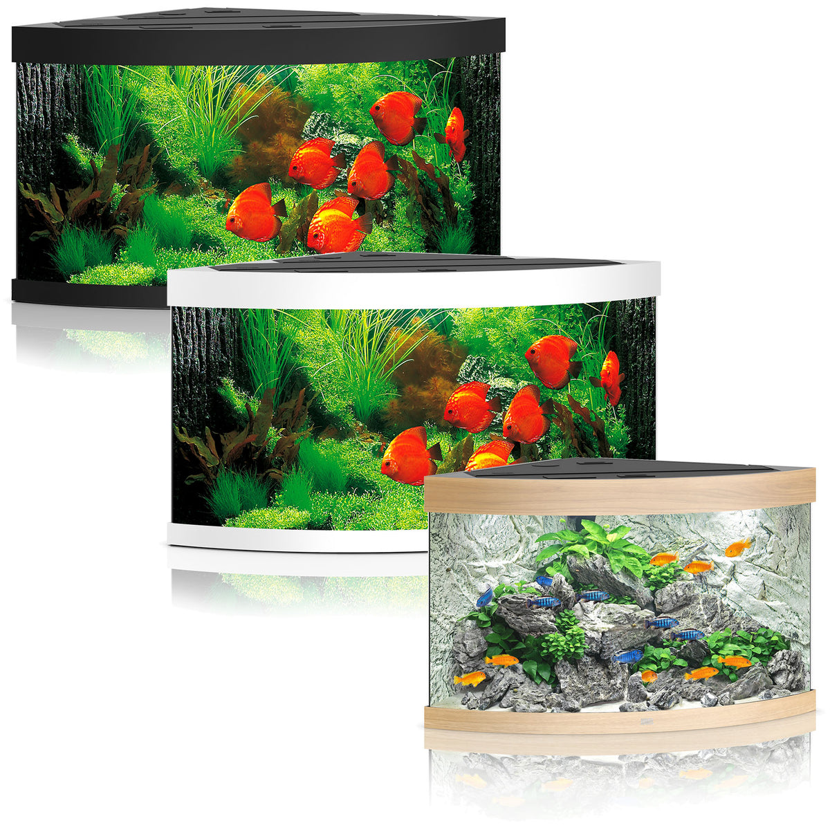 interpersonel to Som Juwel Trigon 350 LED Aquarium – Nature Aquariums
