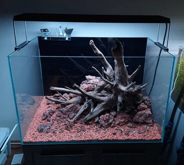 Create Stunning Aquascapes with Just 3 Elements