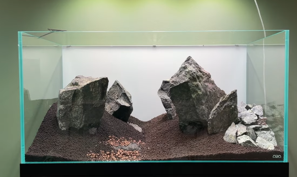 Iwagumi Aquascaping Guide | Step-by-Step with WIO Jade Stones