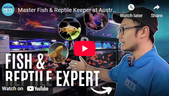 Ever wondered what it takes to care for thousands of fish, reptiles, and aquatic creatures?
