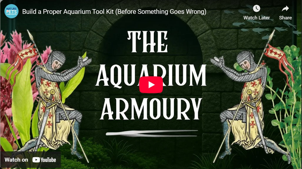 The Aquarium Armory: Essential Tools Every Fish Keeper Needs