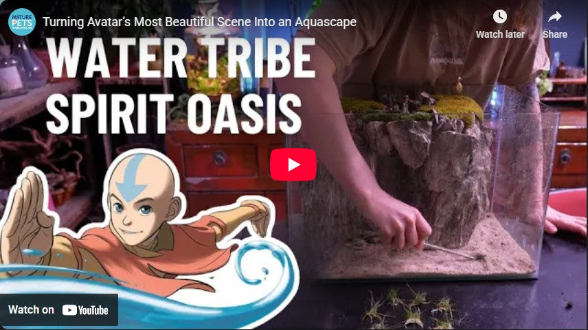 Spirit Oasis from Avatar: The Last Airbender Aquascape