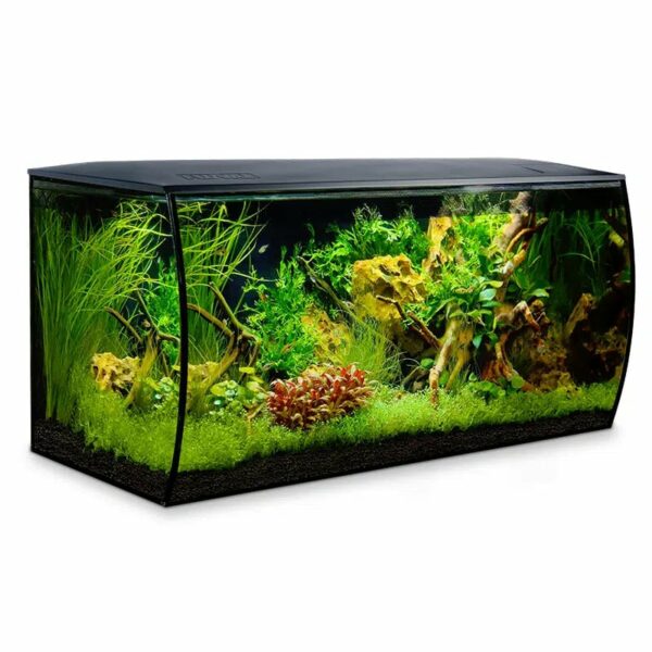 Fluval flex maintenance online