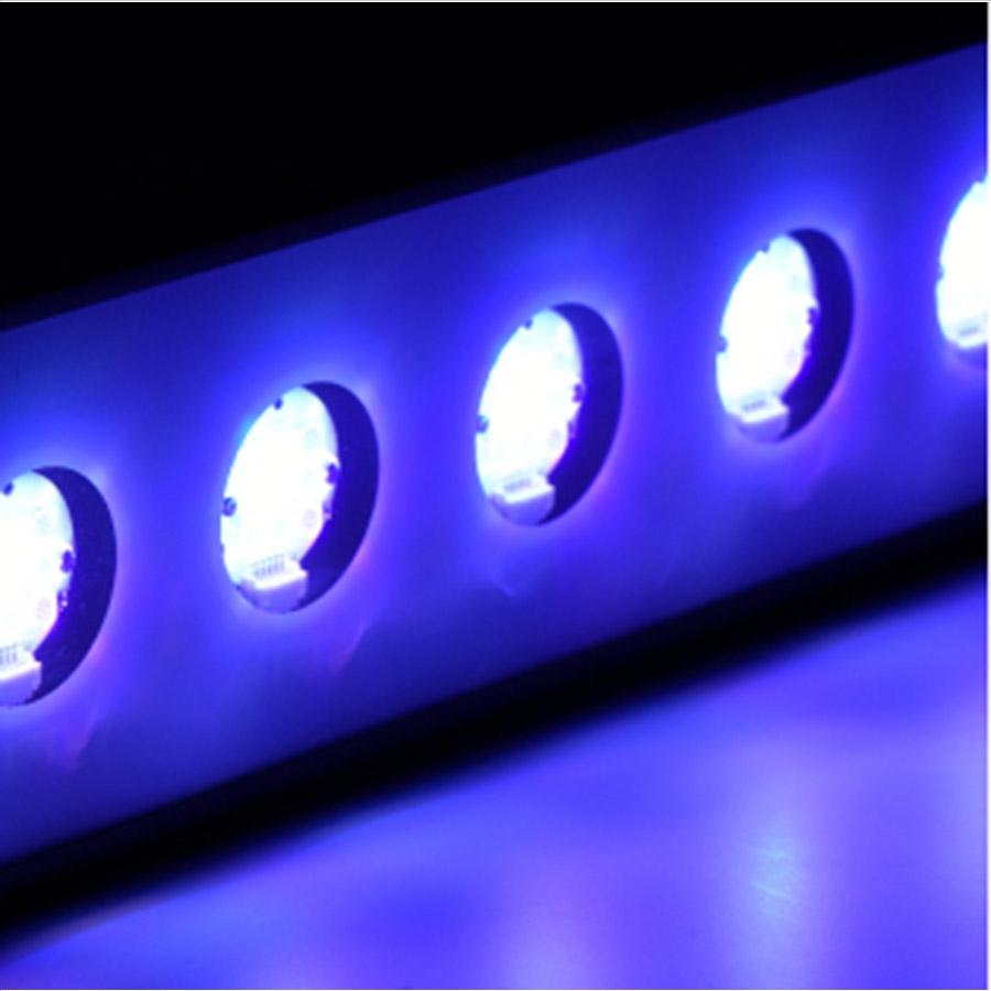 Aquarium light and LED