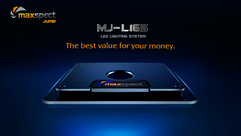 Maxspect Jump Led Mj-l165 65w - Blue – Nature Aquariums