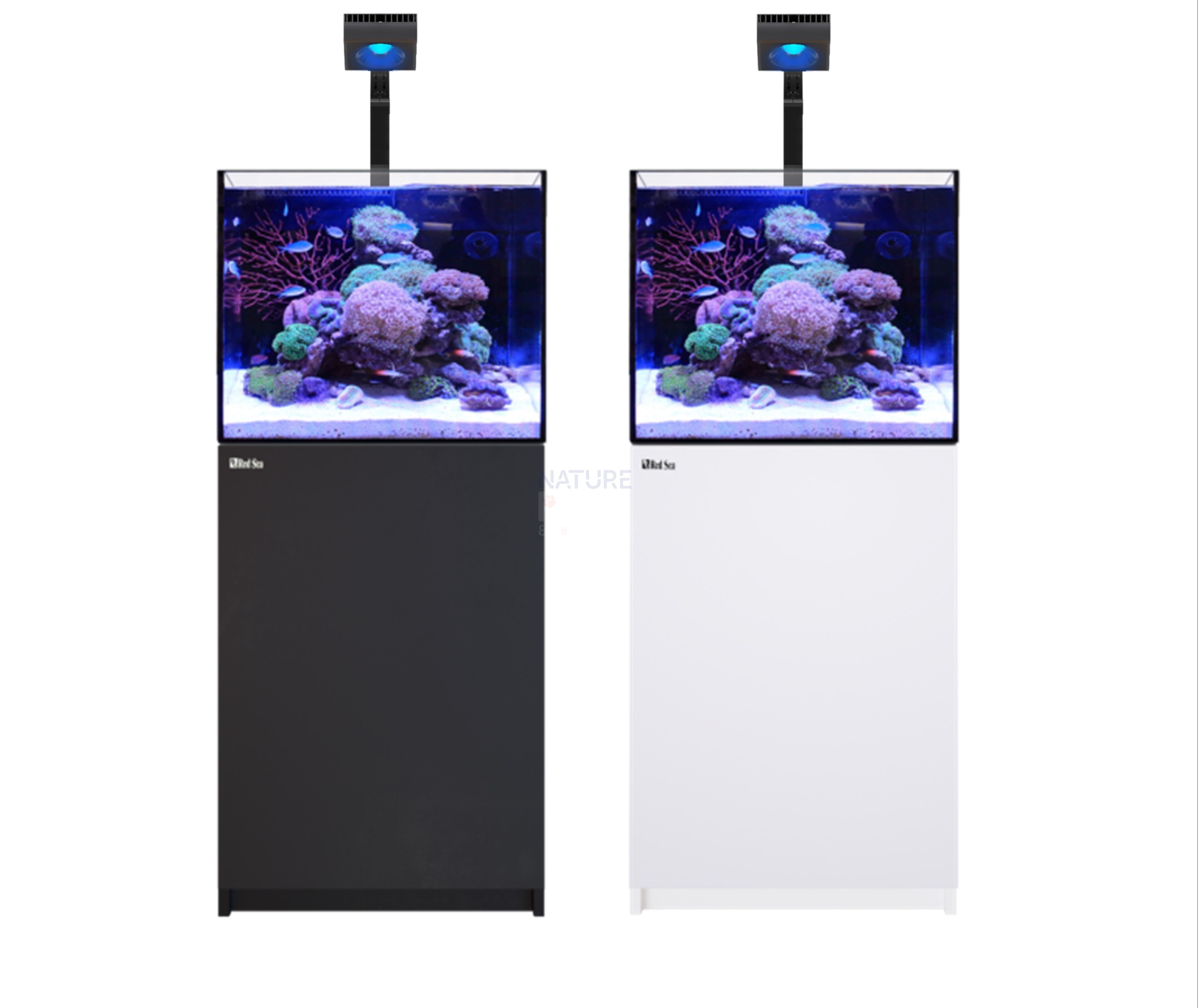 Red Sea REEFER G2+ 170 Deluxe – Nature Aquariums