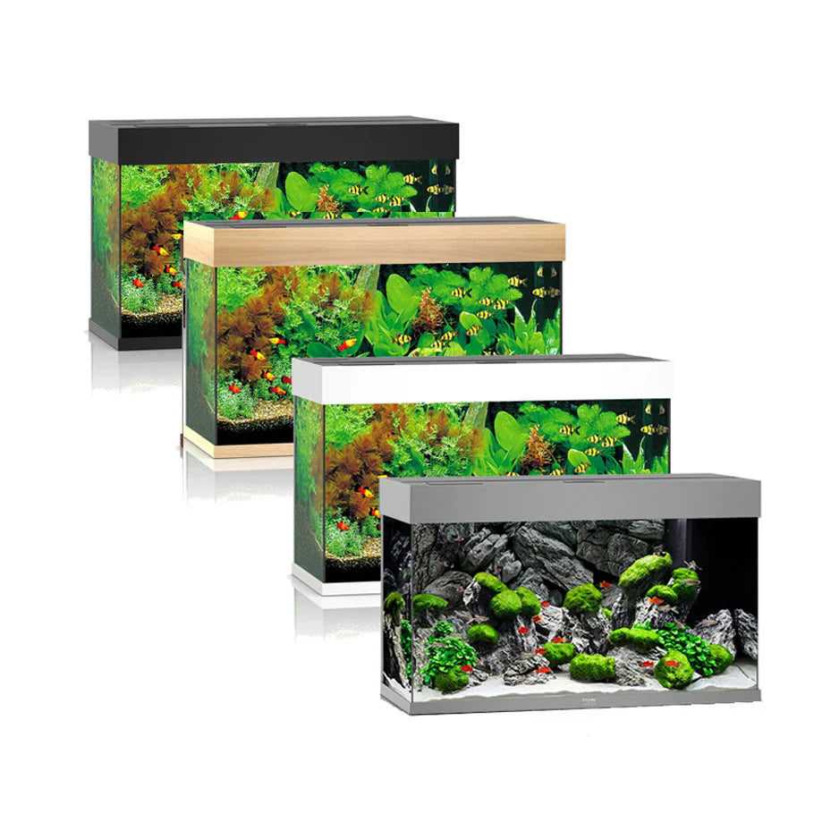 Juwel Rio 125 LED Aquarium 81x36x50cm 125L – Nature Aquariums