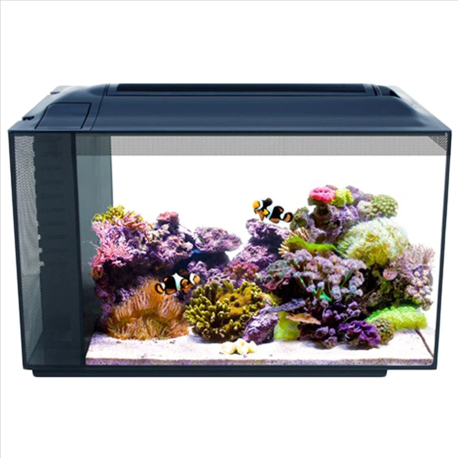 All in one saltwater aquarium kit best sale