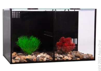 Aqua One Betta Condo Duo 40x24x24cm 20.1L Nature Aquariums