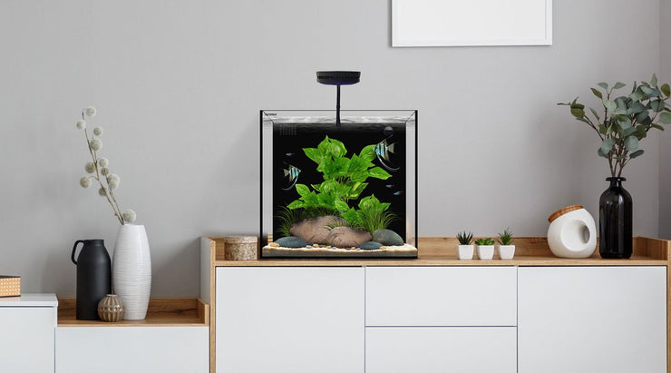 Waterbox Glass Aquariums & Cabinets | Shop Now – Nature Aquariums