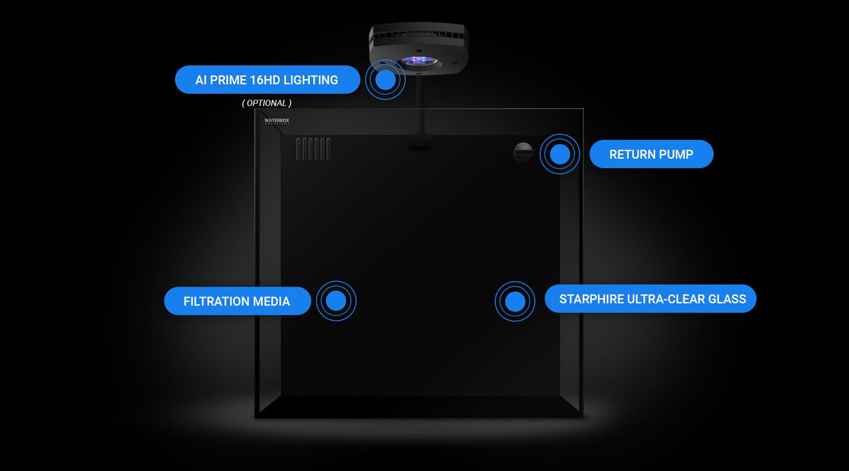 Waterbox Glass Aquariums & Cabinets | Shop Now – Nature Aquariums