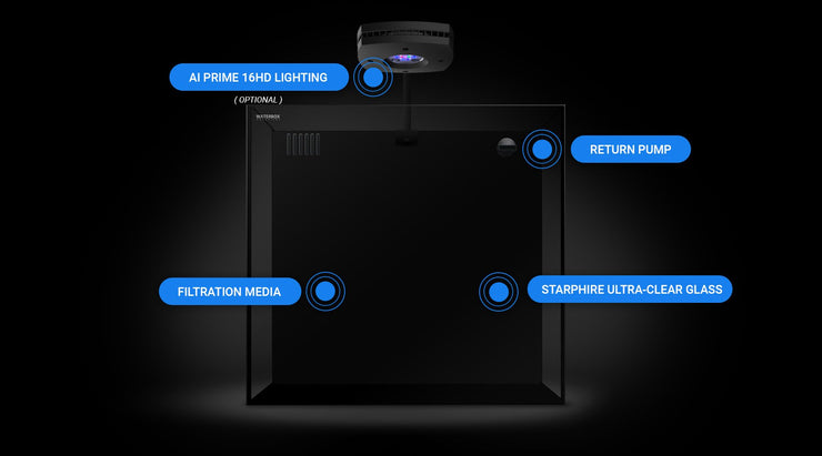Waterbox Glass Aquariums & Cabinets | Shop Now – Nature Aquariums