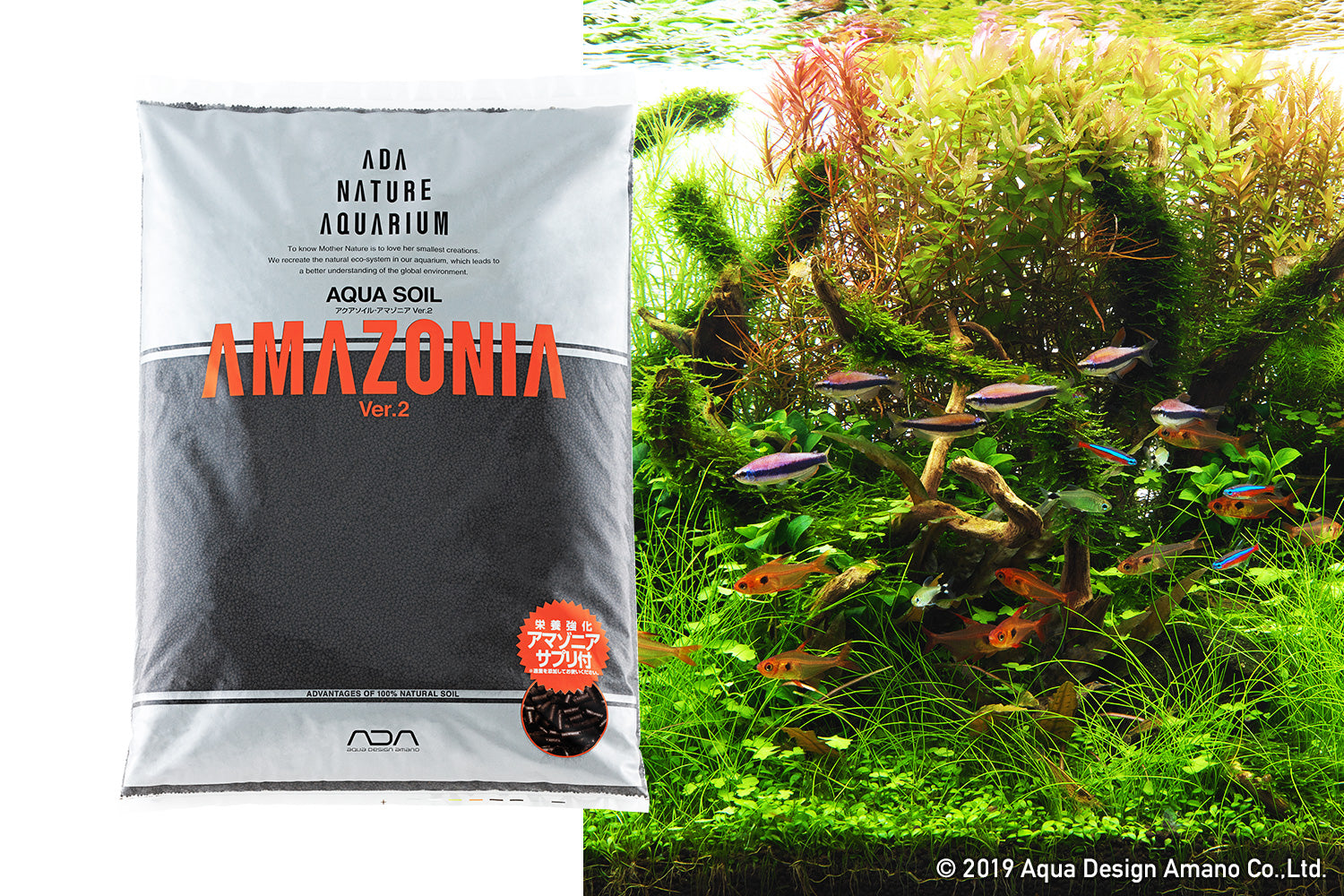 Aqua soil for best sale sale