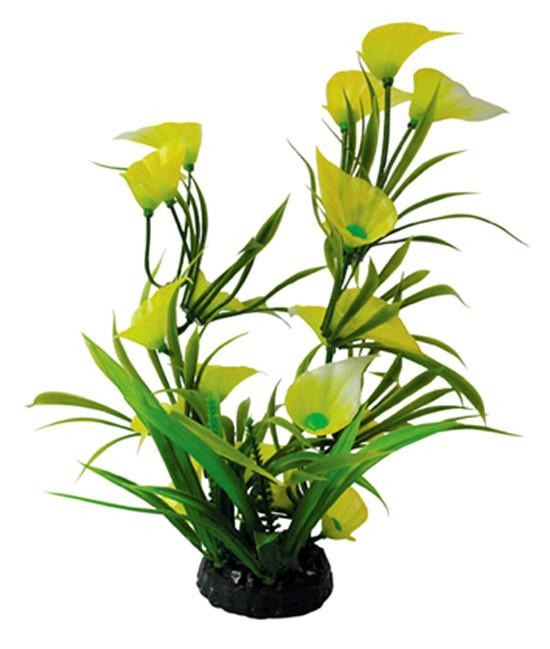 12” Bunch Plant Lily - Nature Aquariums