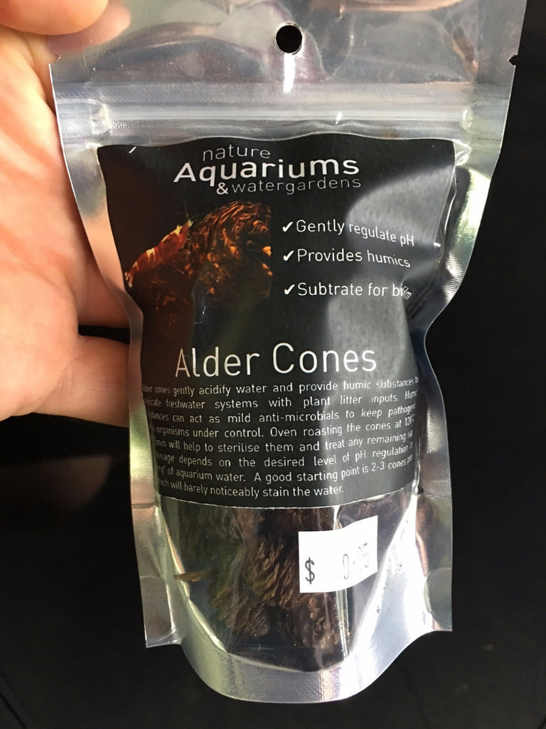 Alder Cones - Nature Aquariums