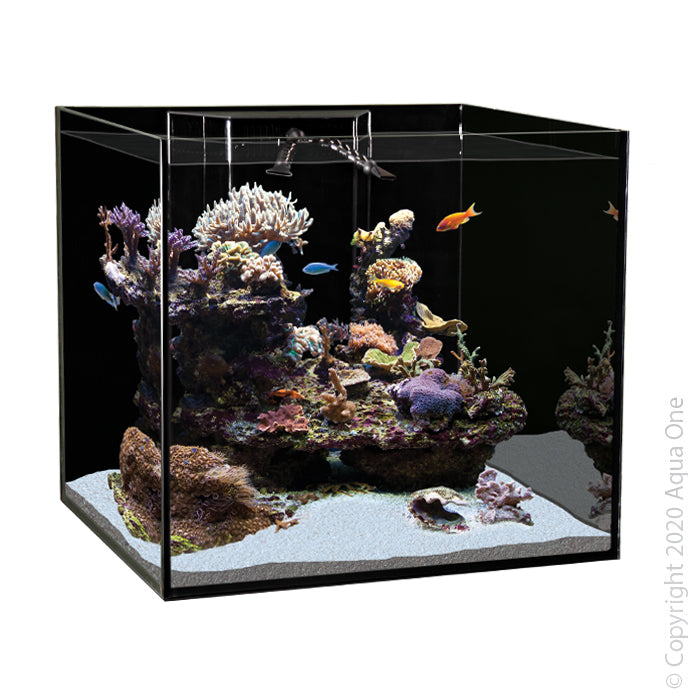 180 litre fish tank 2025