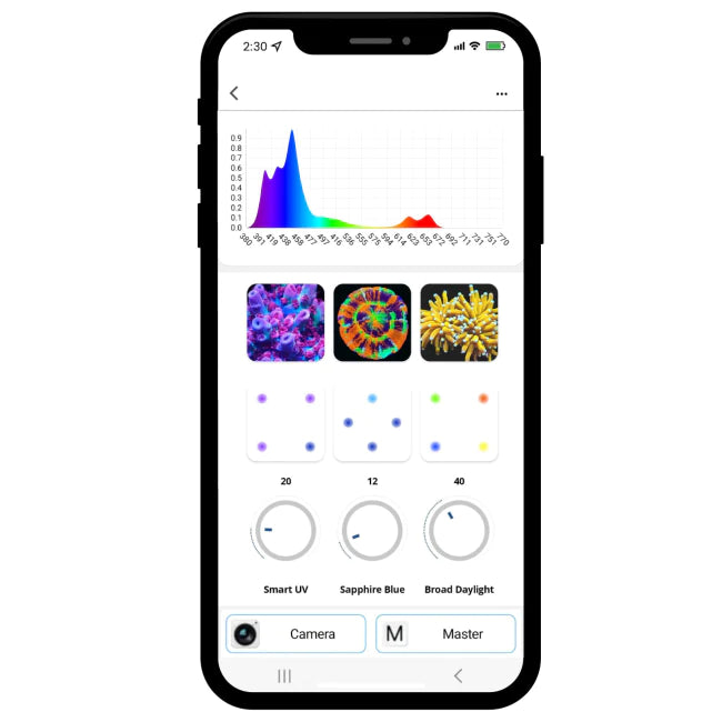 illumagic X4 Control on a mobile device with Dalua Ecosystem APP