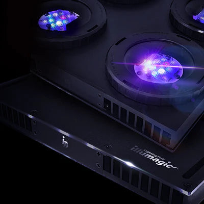 illumagic X4 Design highlighting the LEDs and heat vents