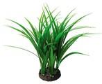 20” Bunch Plant Rush - Nature Aquariums