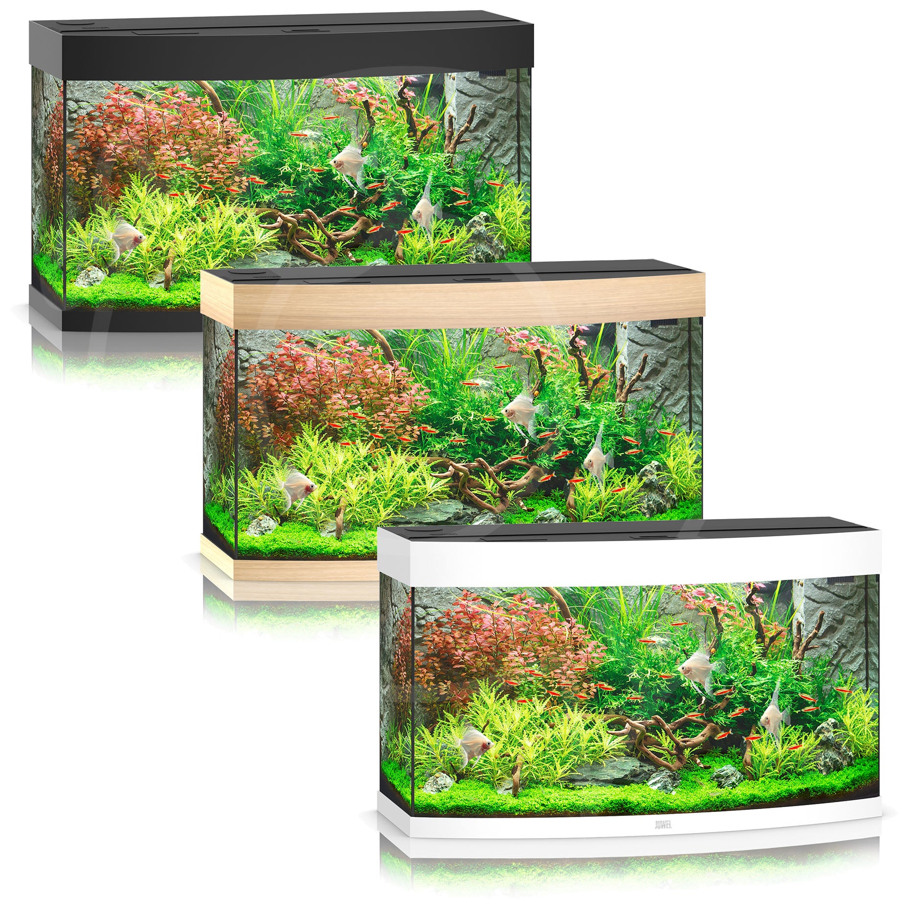 Juwel aquarium lighting shop