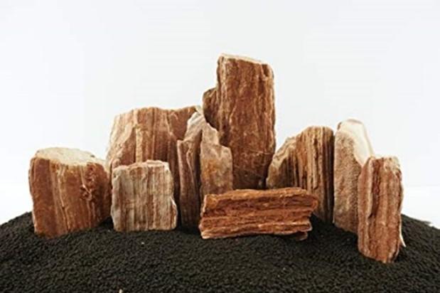 Petrified Wood Stone - Nature Aquariums